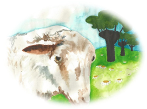 Generic placeholder image